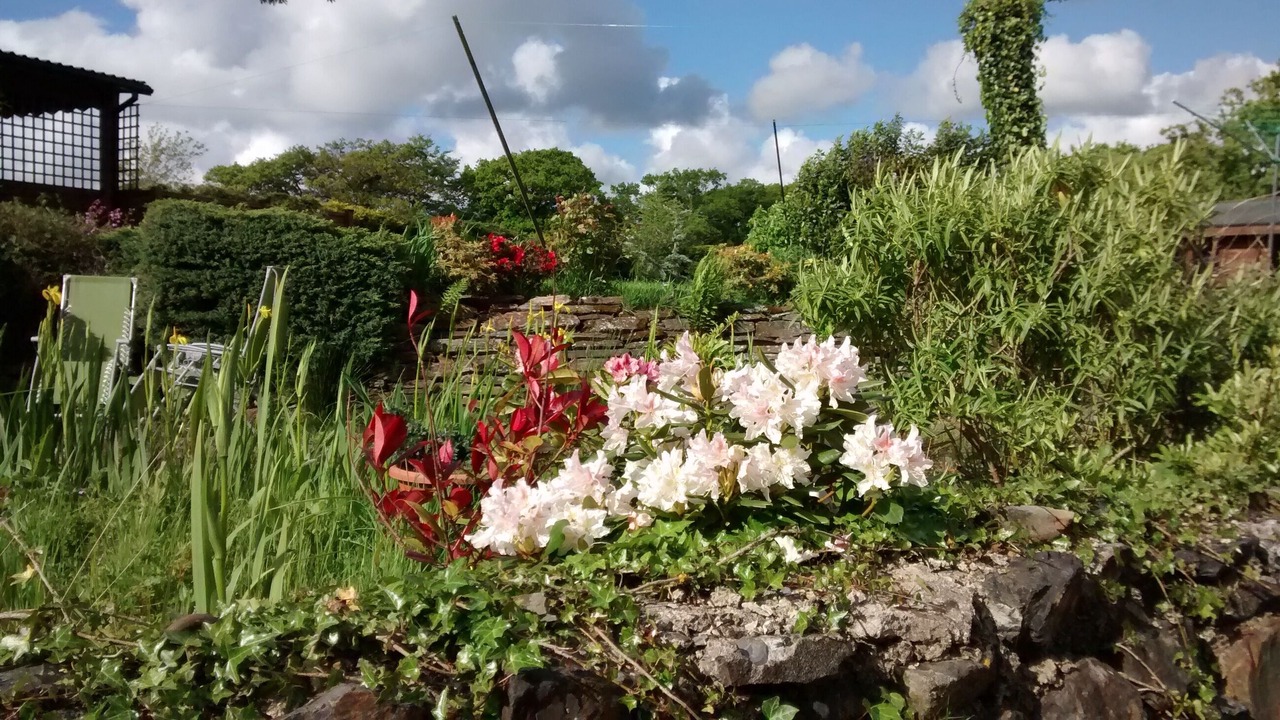 Photo of Others in Highampton