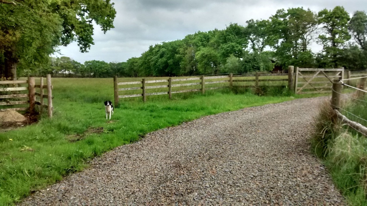 Photo of Others in Highampton