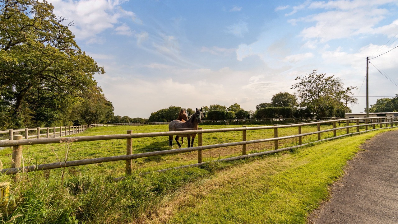 Photo of Others in Highampton