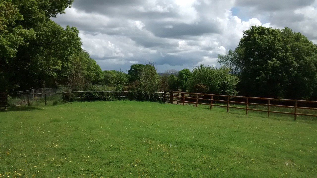 Photo of Others in Highampton