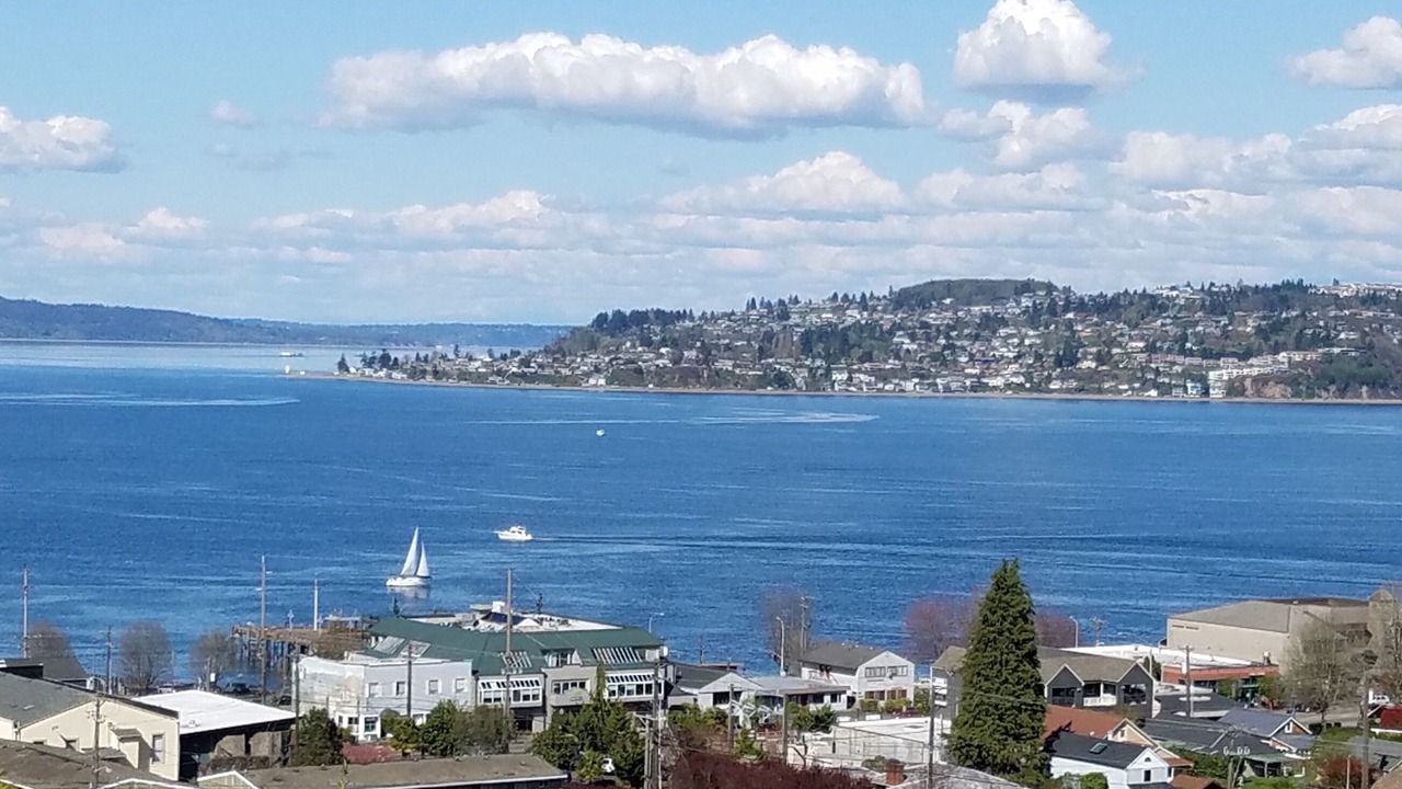 Photo of Others in North End