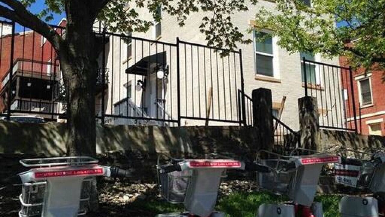 Photo of Outdoor in Mount Auburn