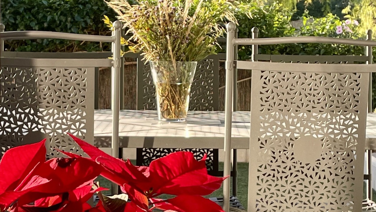 Photo of Outdoor in Hoya de los Patos