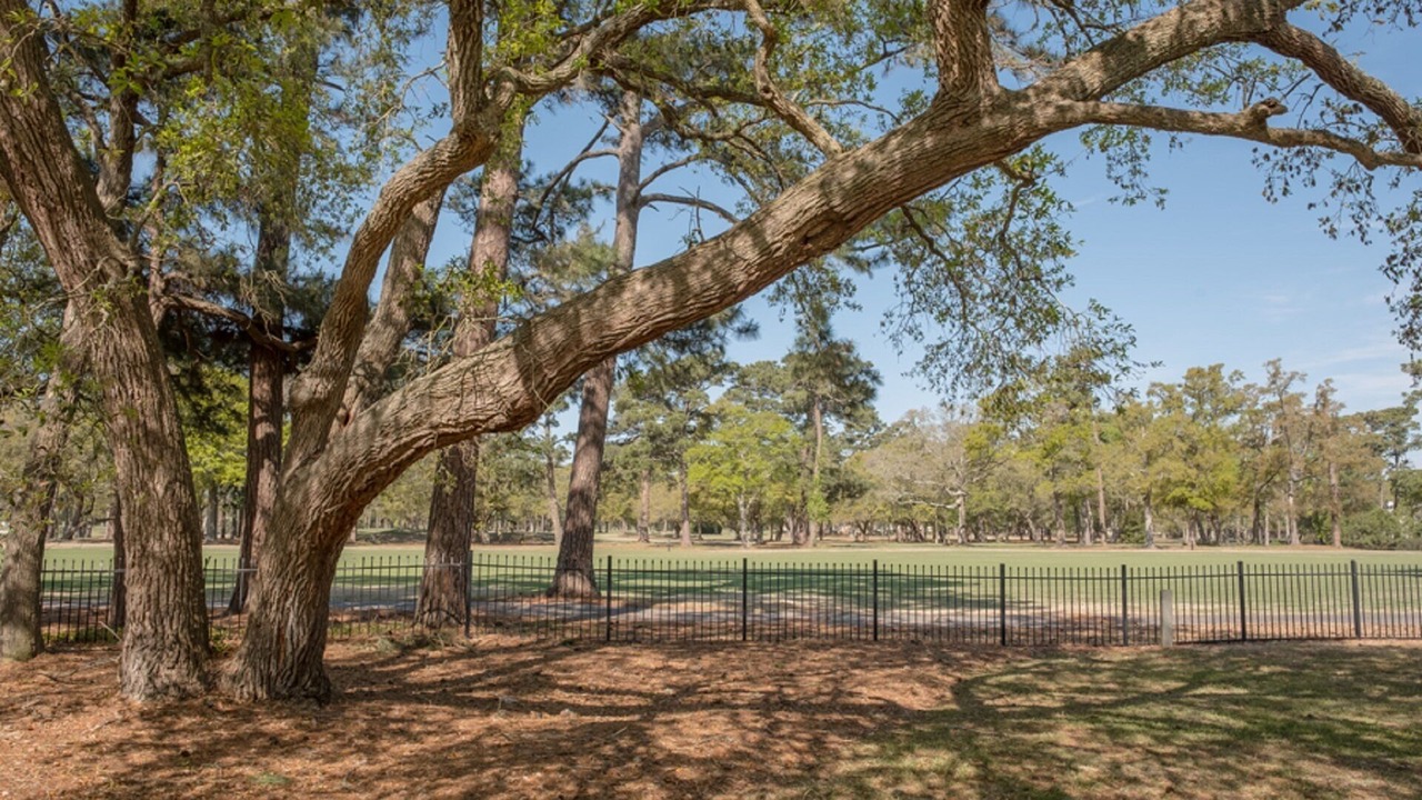 Photo of Outdoor in North Myrtle Beach