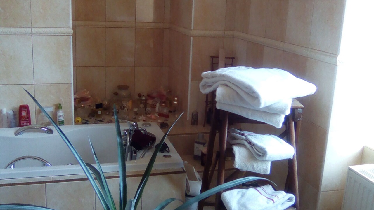 Photo of Bathroom in Vallon-en-Sully