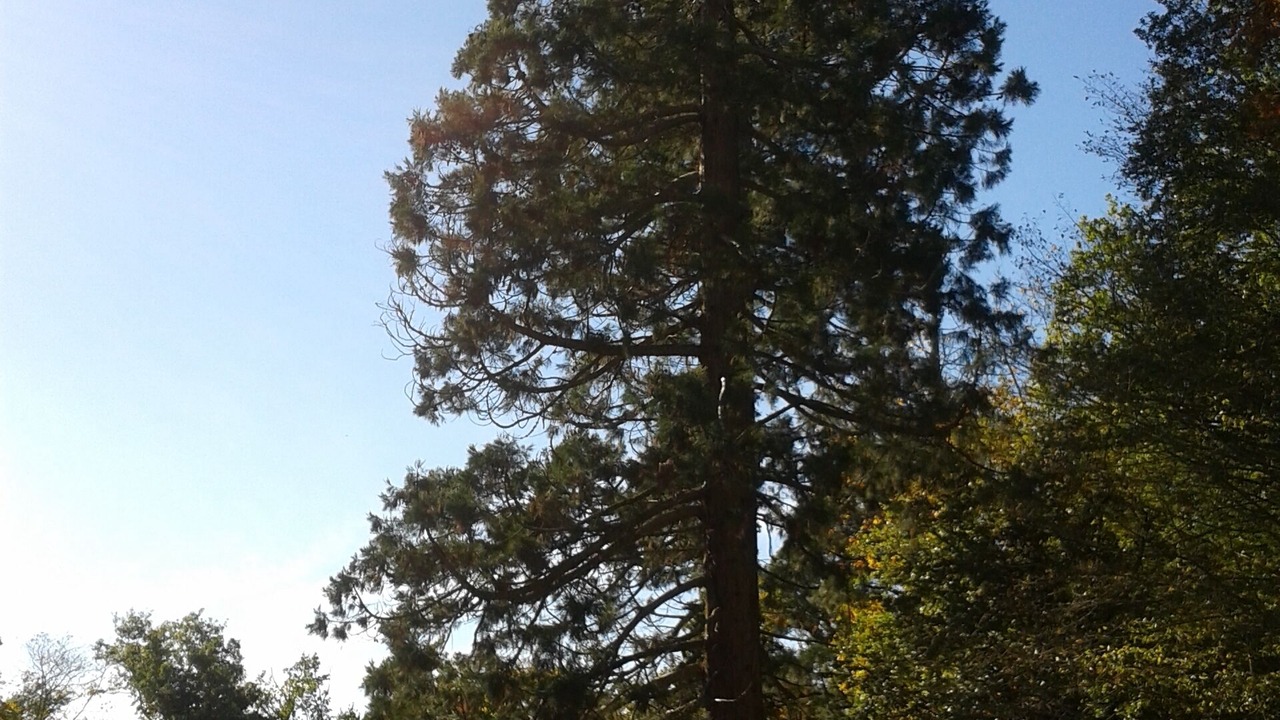 Photo of Others in Vallon-en-Sully