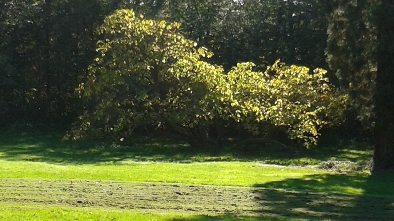 Photo of Others in Vallon-en-Sully