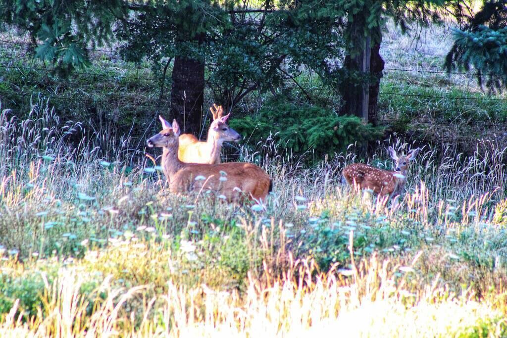 Photo of Others in Stevenson