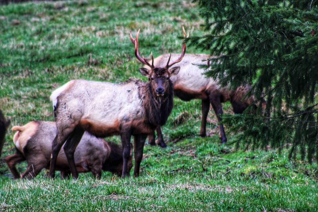 Photo of Others in Stevenson