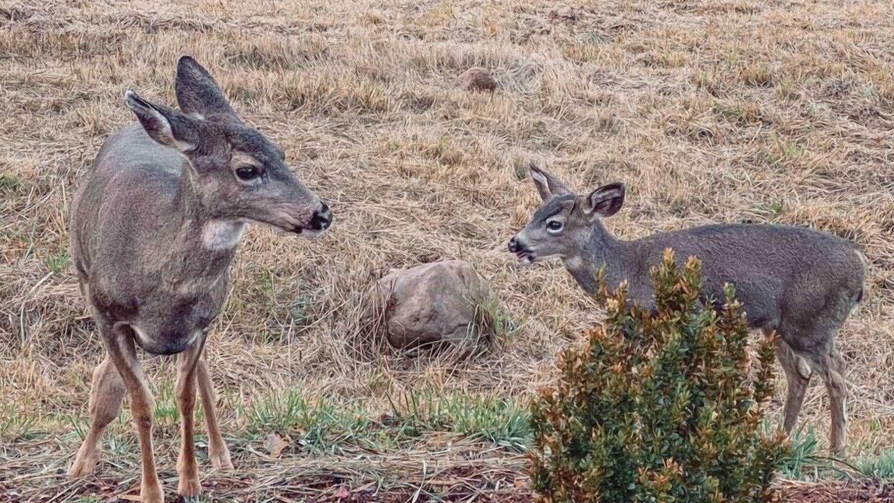 Photo of Outdoor in Stevenson