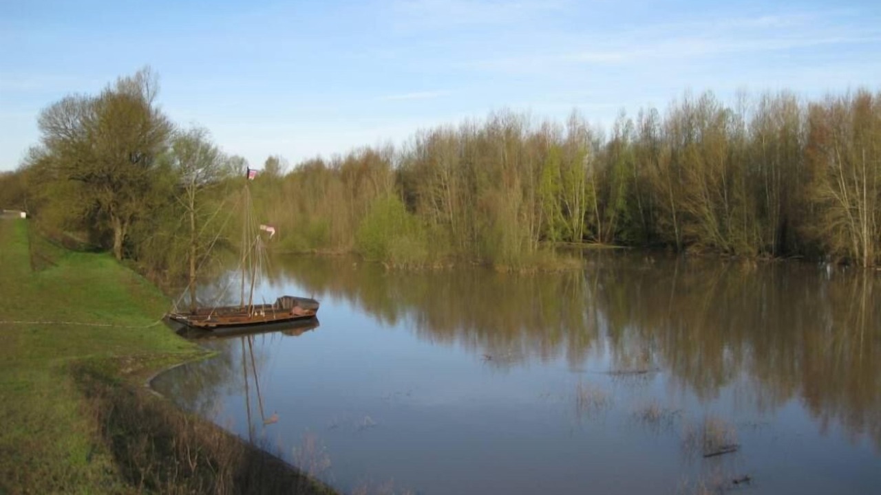 Photo of Others in La Chapelle-aux-Naux