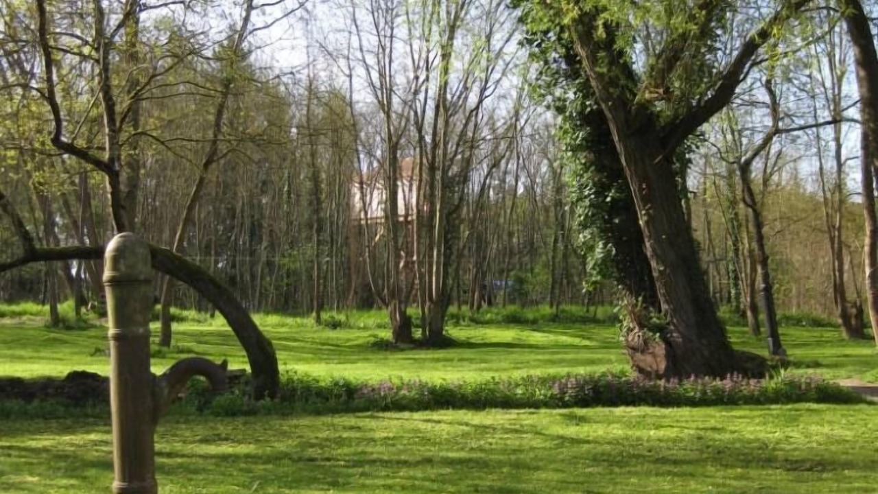 Photo of Outdoor in La Chapelle-aux-Naux