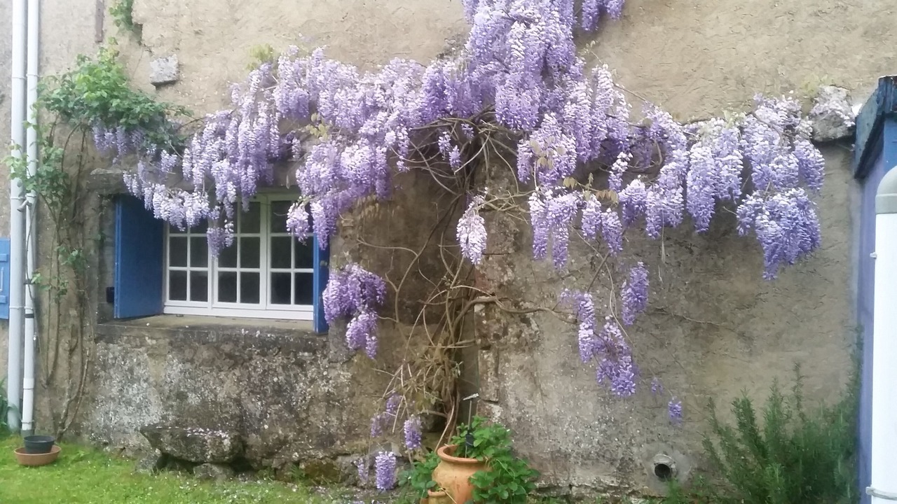 Photo of Others in Grezac