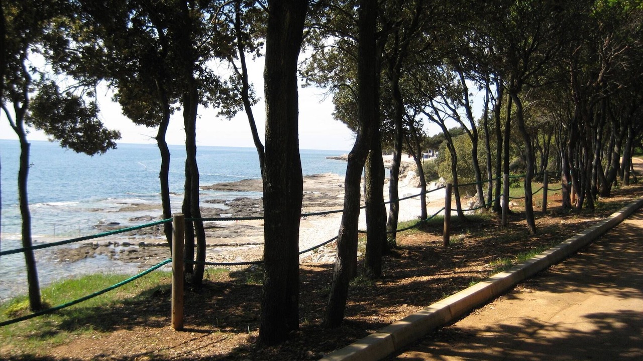 Photo of Others in Vabriga
