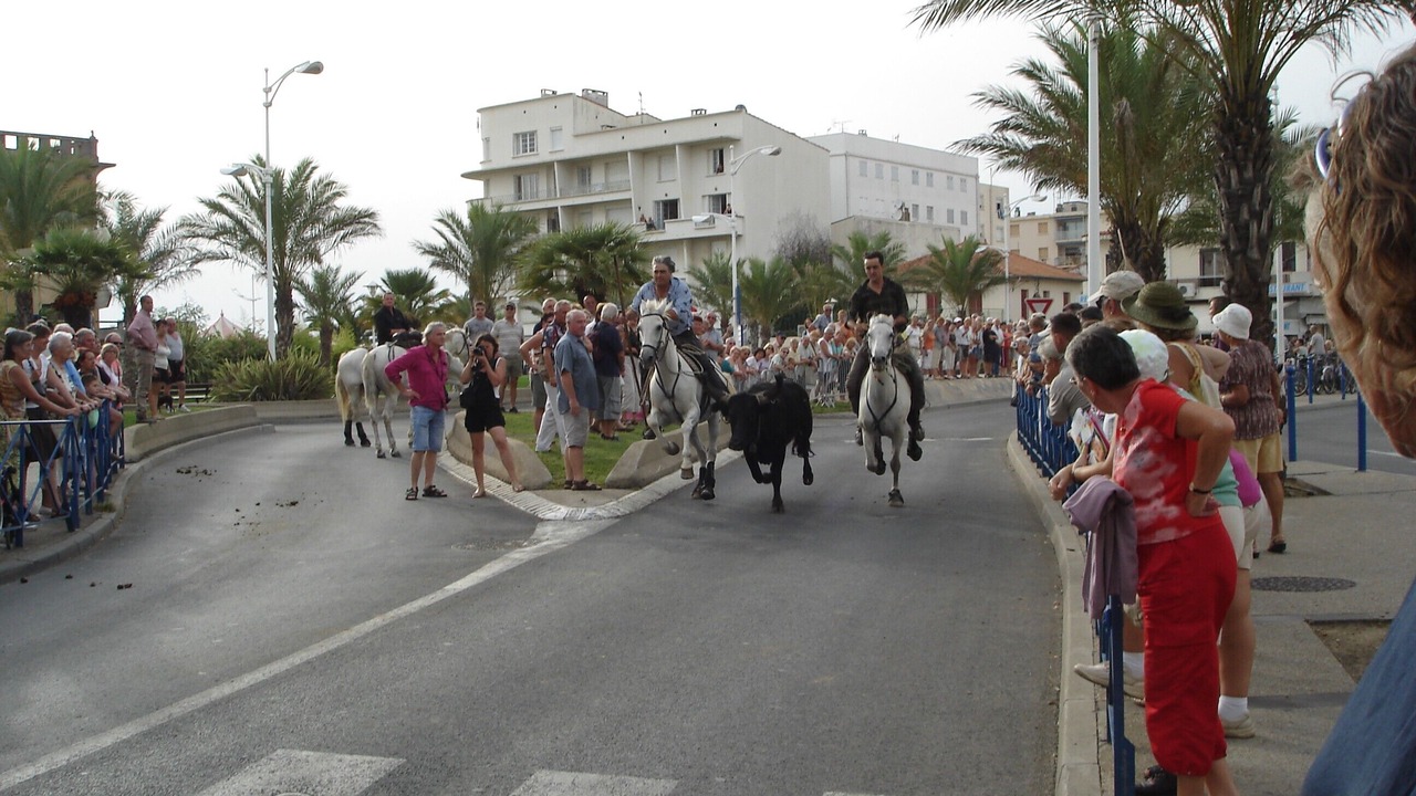 Photo of Others in Aigues-Mortes