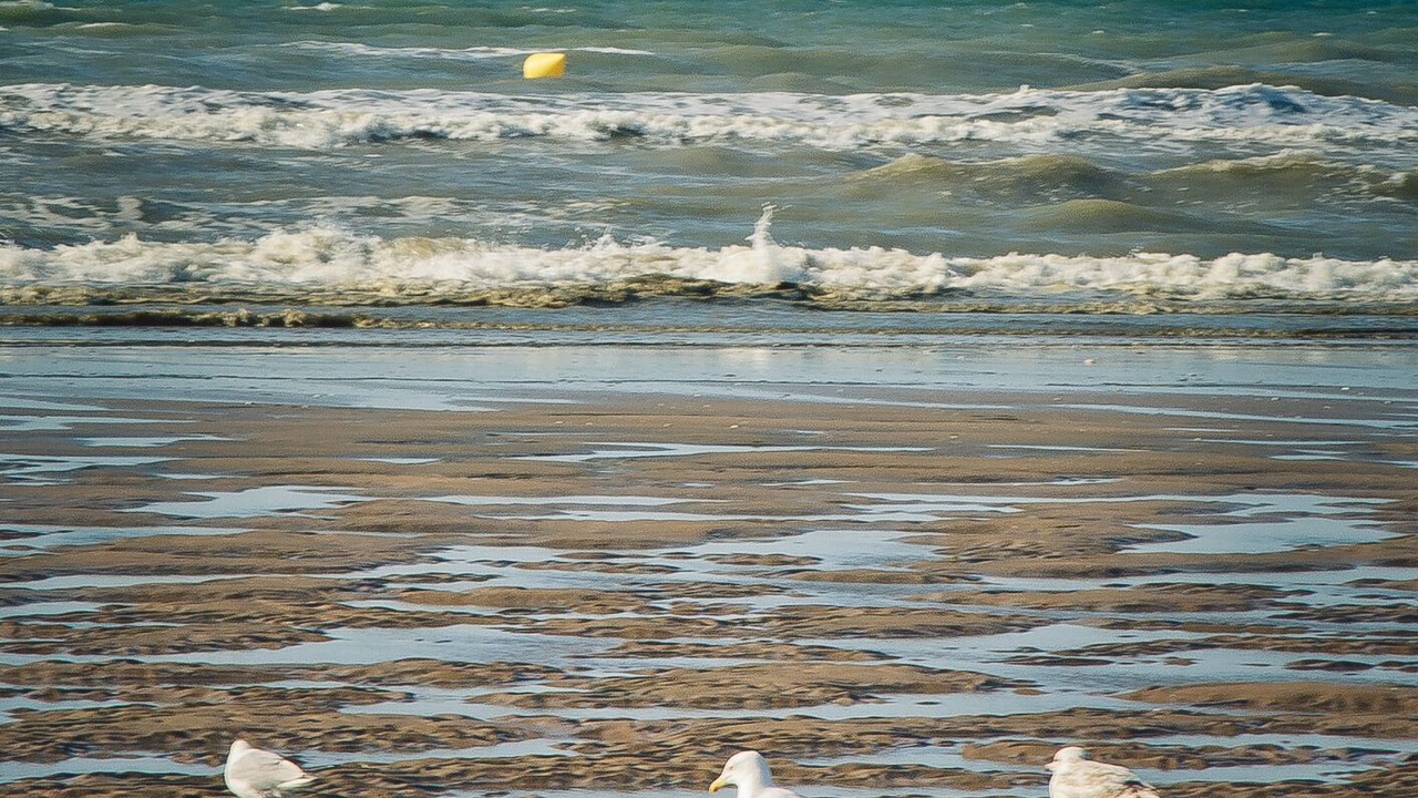 Photo of Others in Cabourg