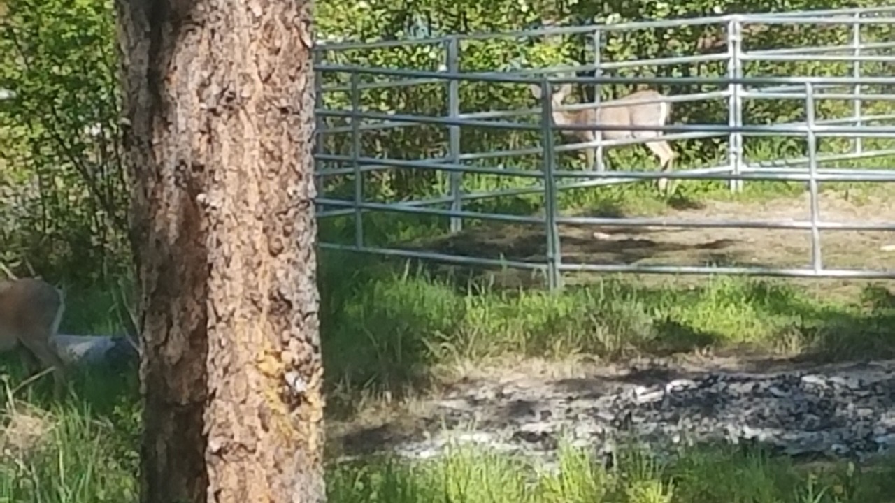 Photo of Outdoor in Garden Valley