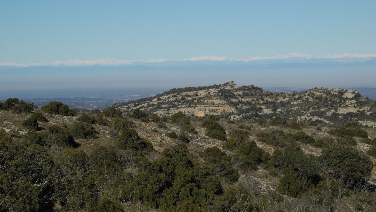 Photo of Others in Torroja del Priorat