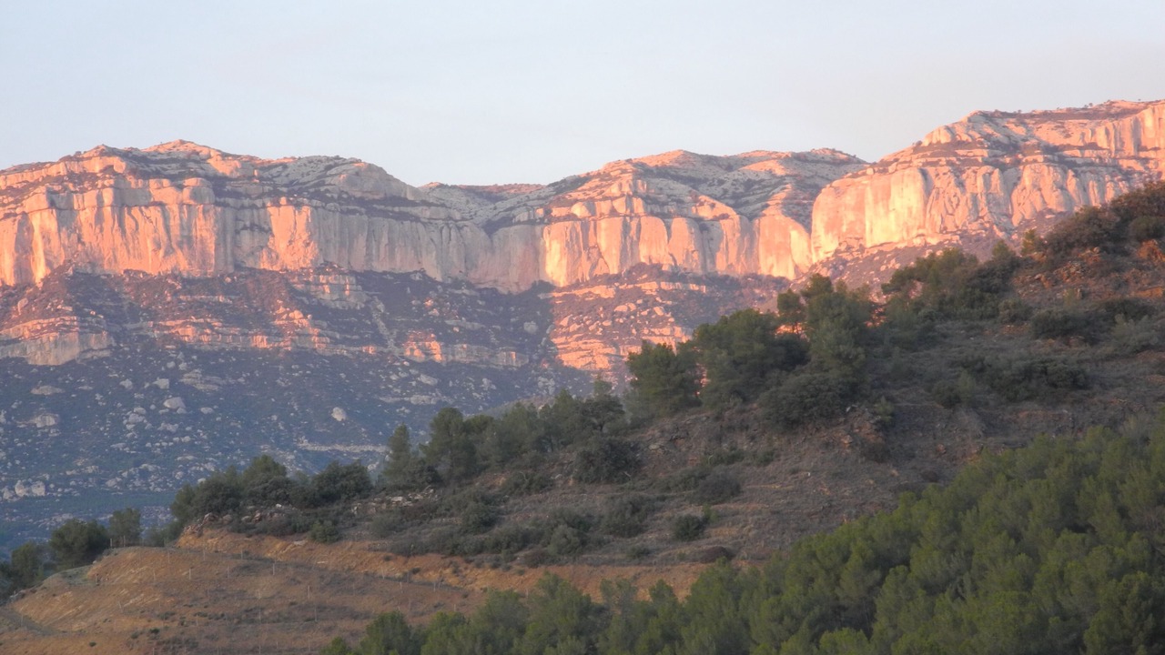 Photo of Outdoor in Torroja del Priorat