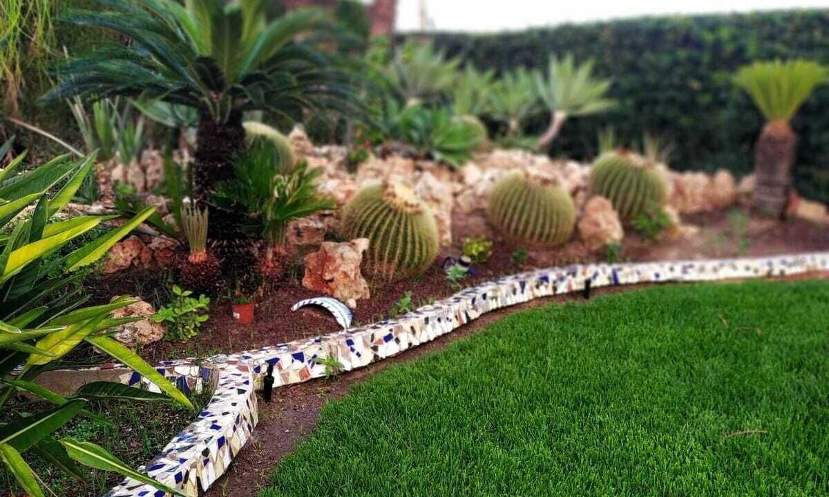 Photo of Outdoor in Elche