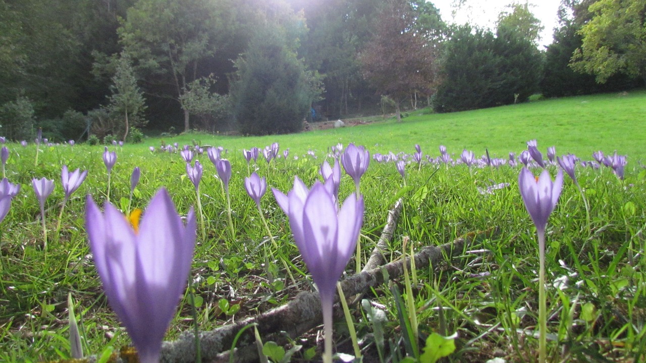 Photo of Outdoor in Beost
