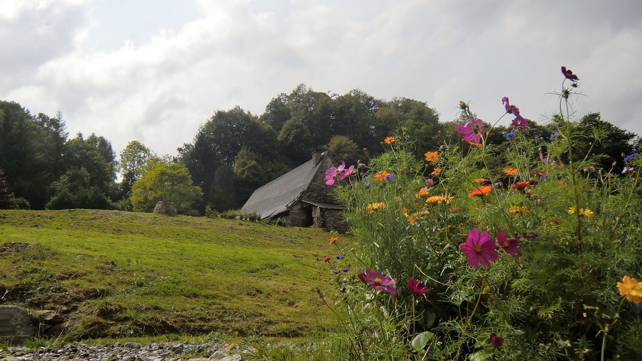 Photo of Outdoor in Beost