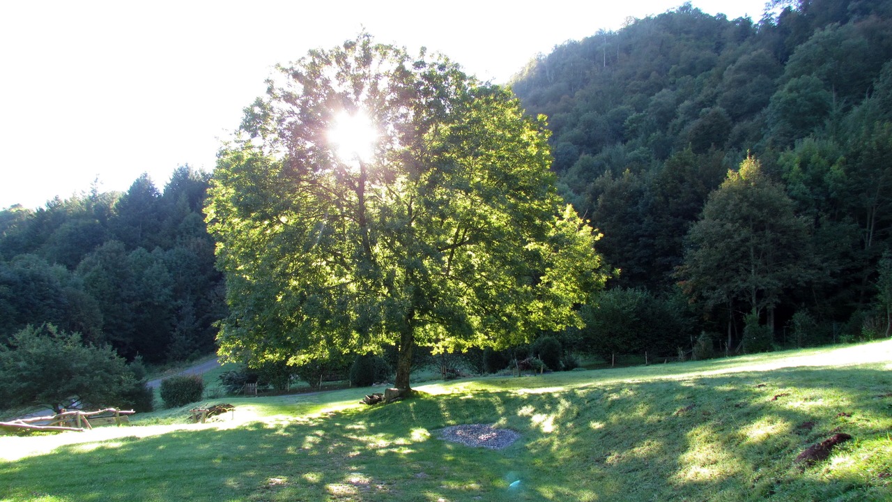 Photo of Outdoor in Beost