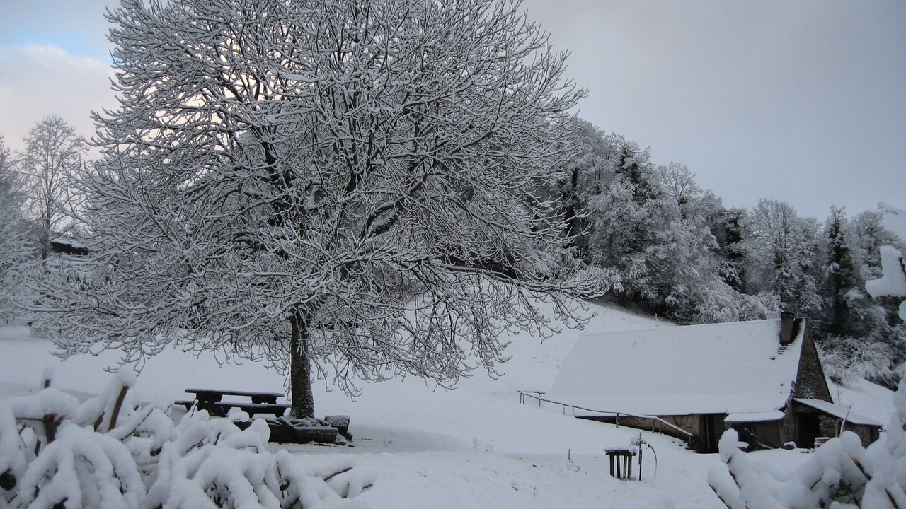 Photo of Outdoor in Beost