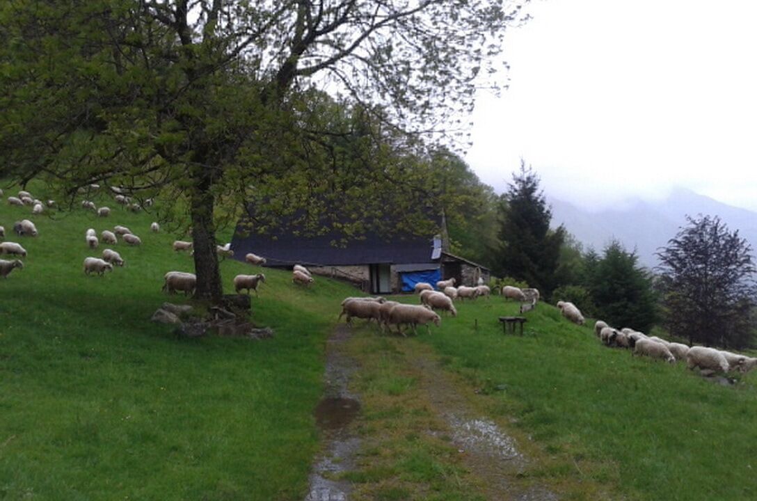 Photo of Outdoor in Beost
