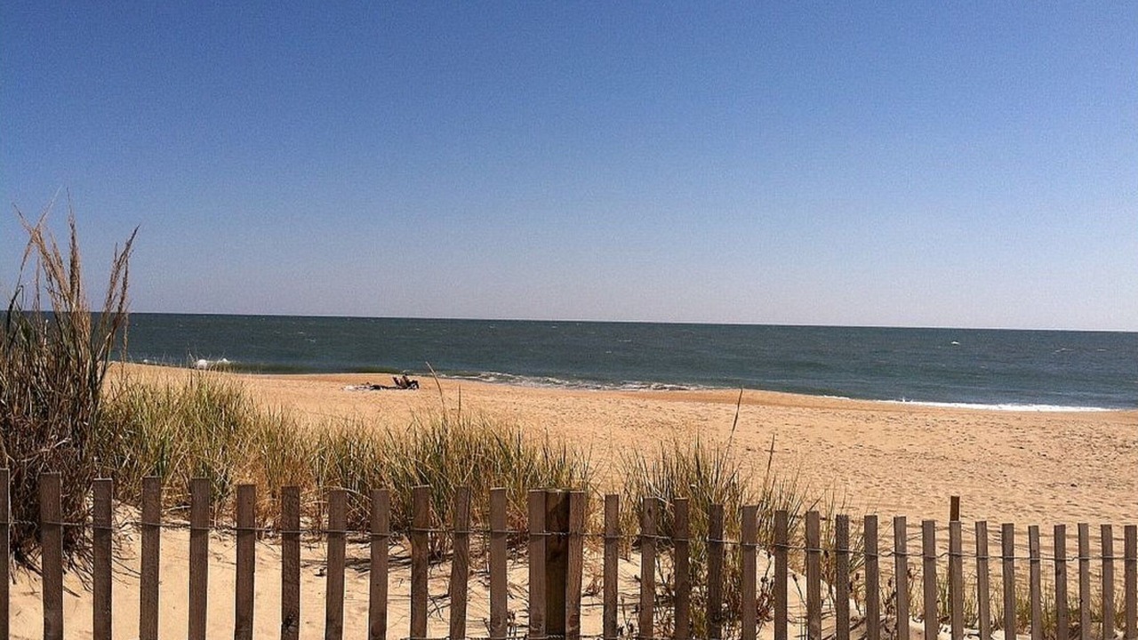 Photo of Others in North Ocean City