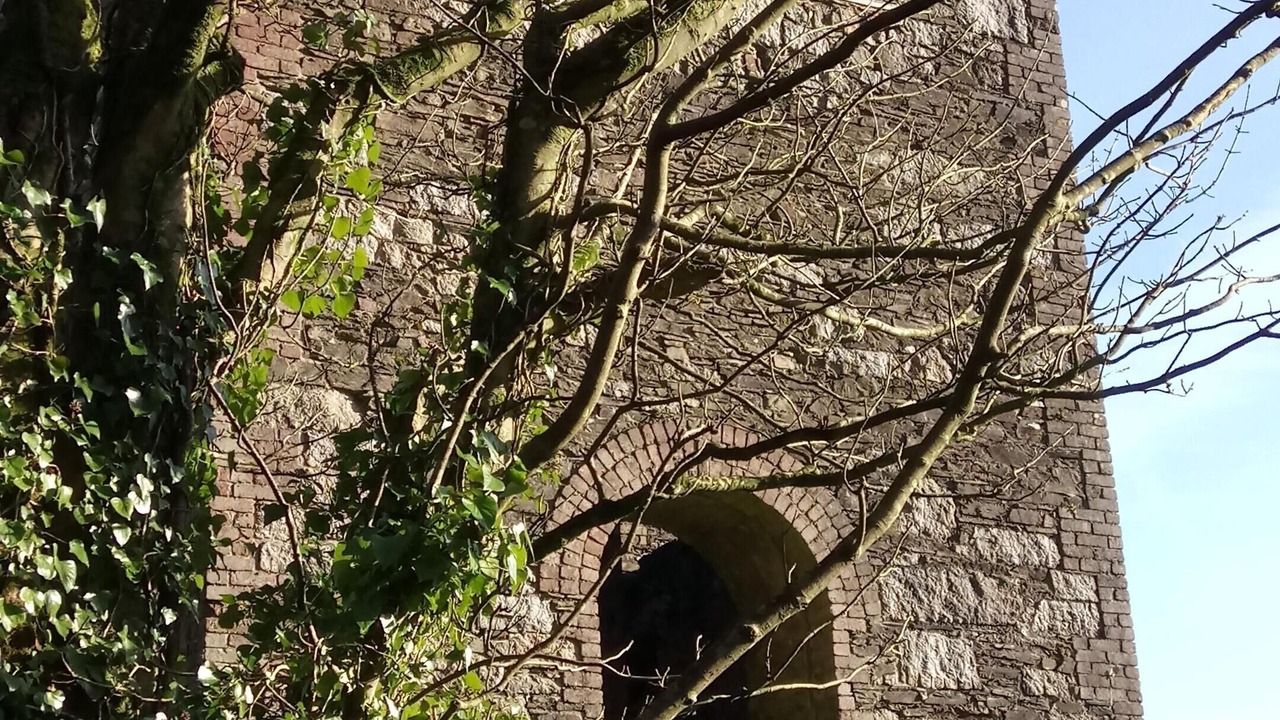 Photo of Others in Callington