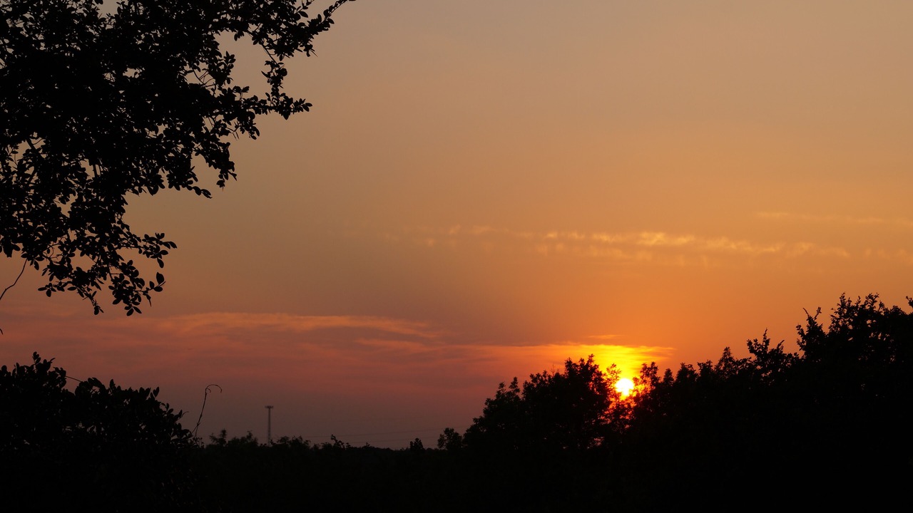 Photo of Outdoor in Gruene