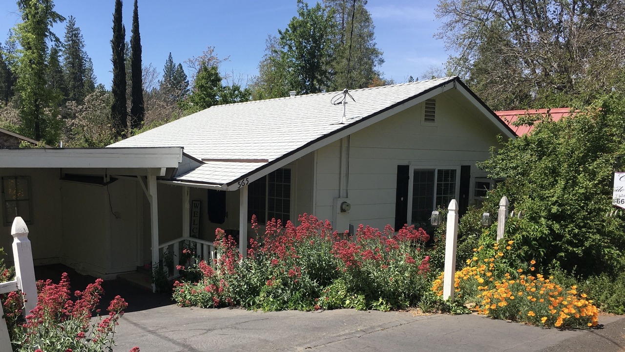 Photo of Outdoor in Murphys