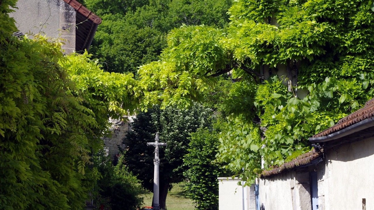 Photo of Outdoor in Noyers-sur-Serein