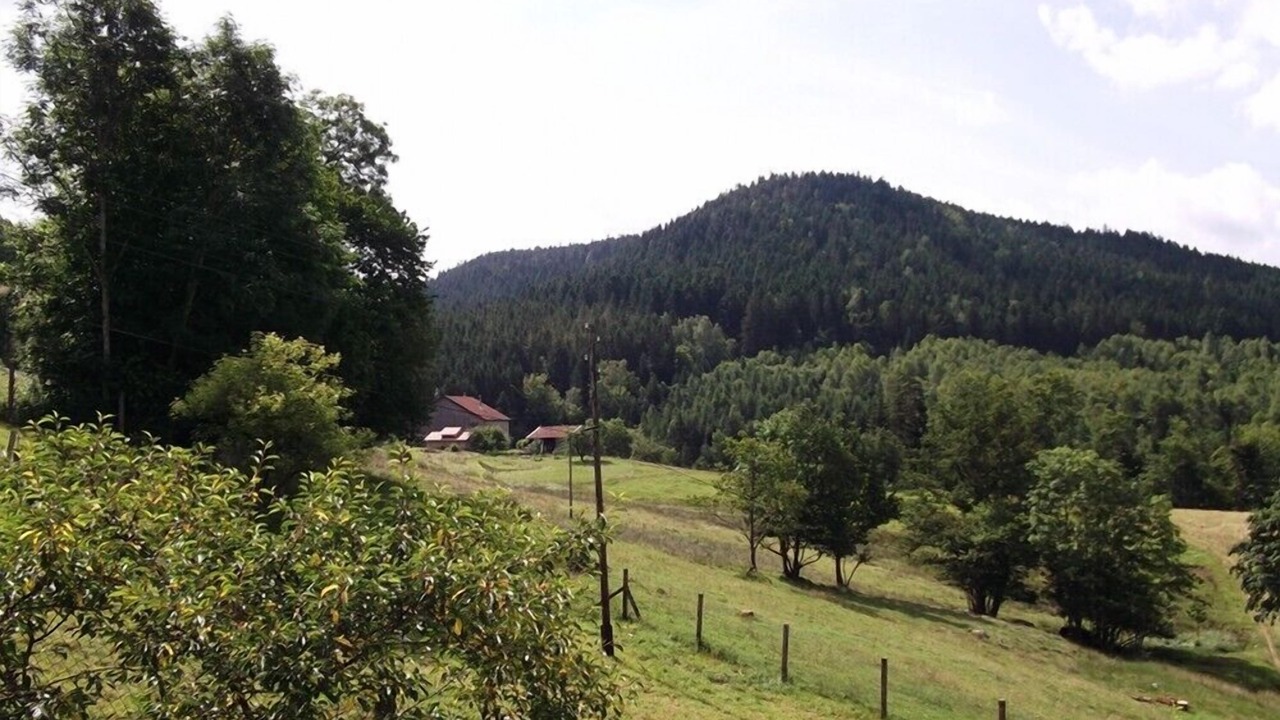 Photo of Outdoor in Le Tholy