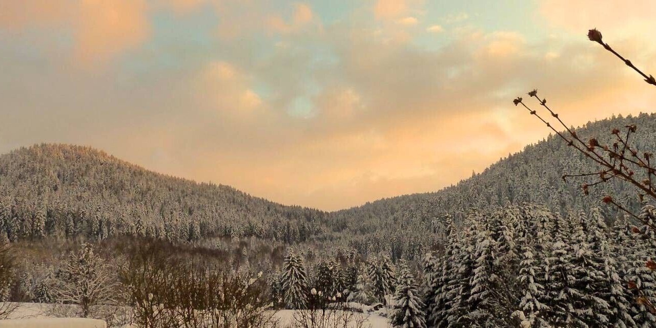 Photo of Outdoor in Le Tholy