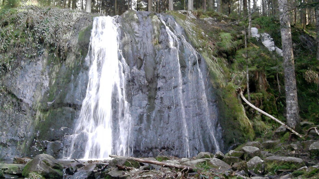 Photo of Outdoor in Le Tholy