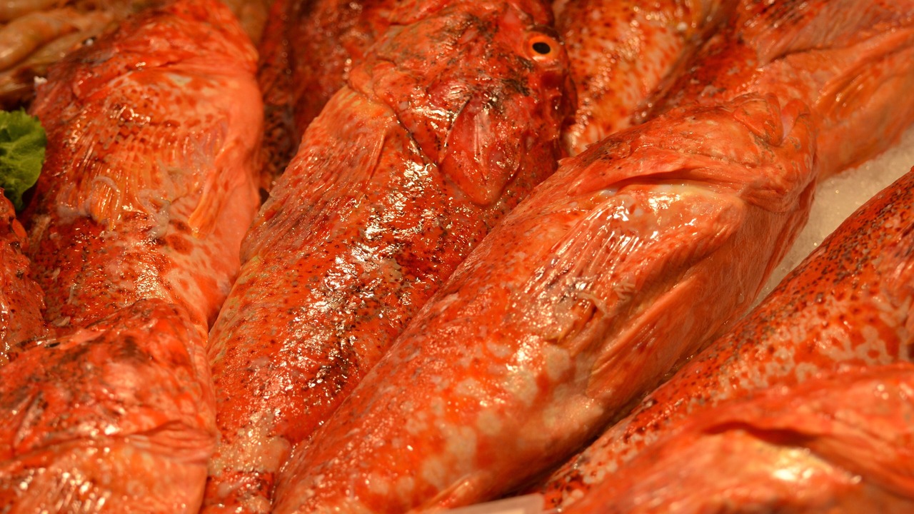 Photo of Others in Santa Giulia