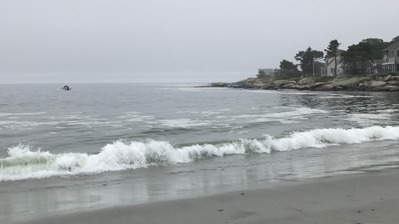 Photo of Others in Granite Point