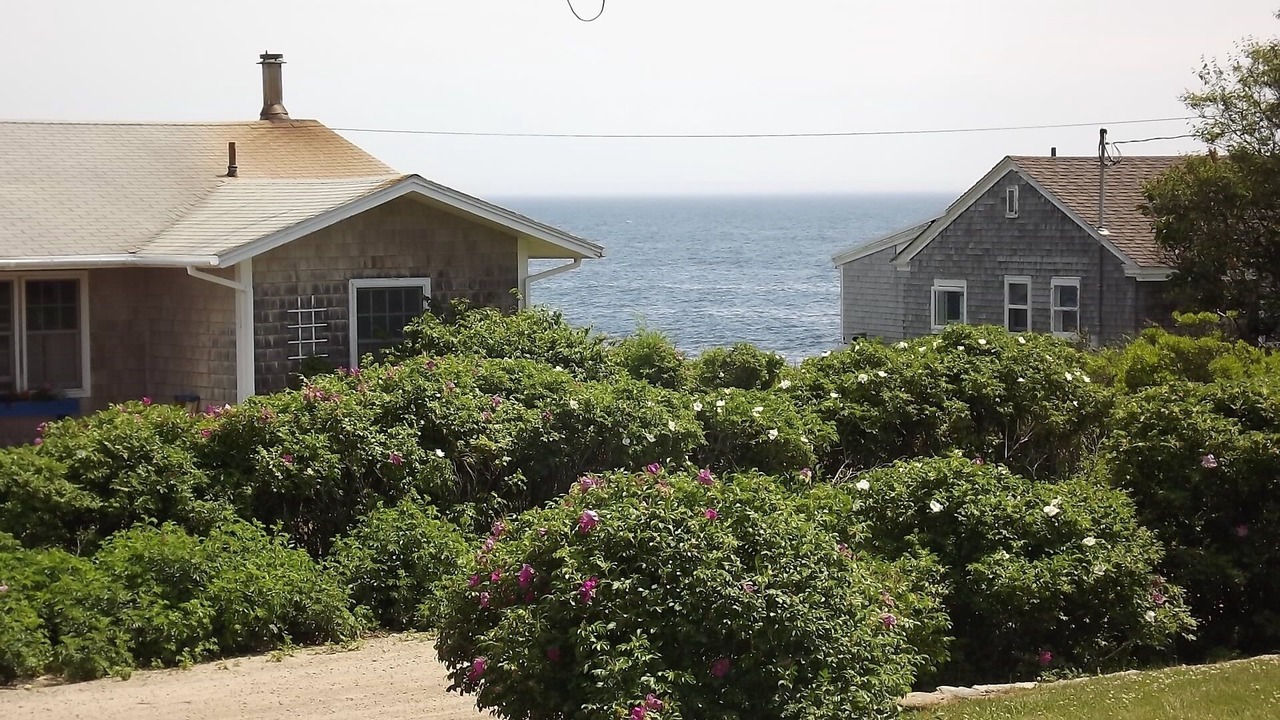 Photo of Others in Granite Point