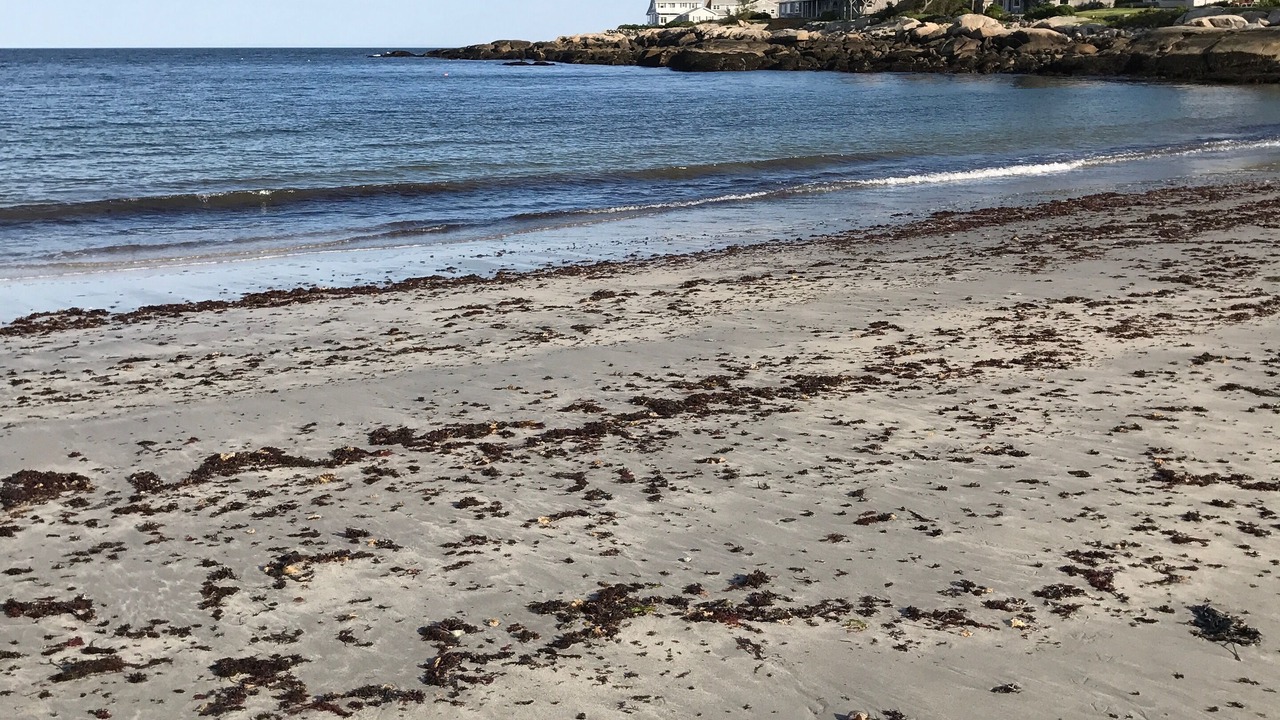 Photo of Others in Granite Point