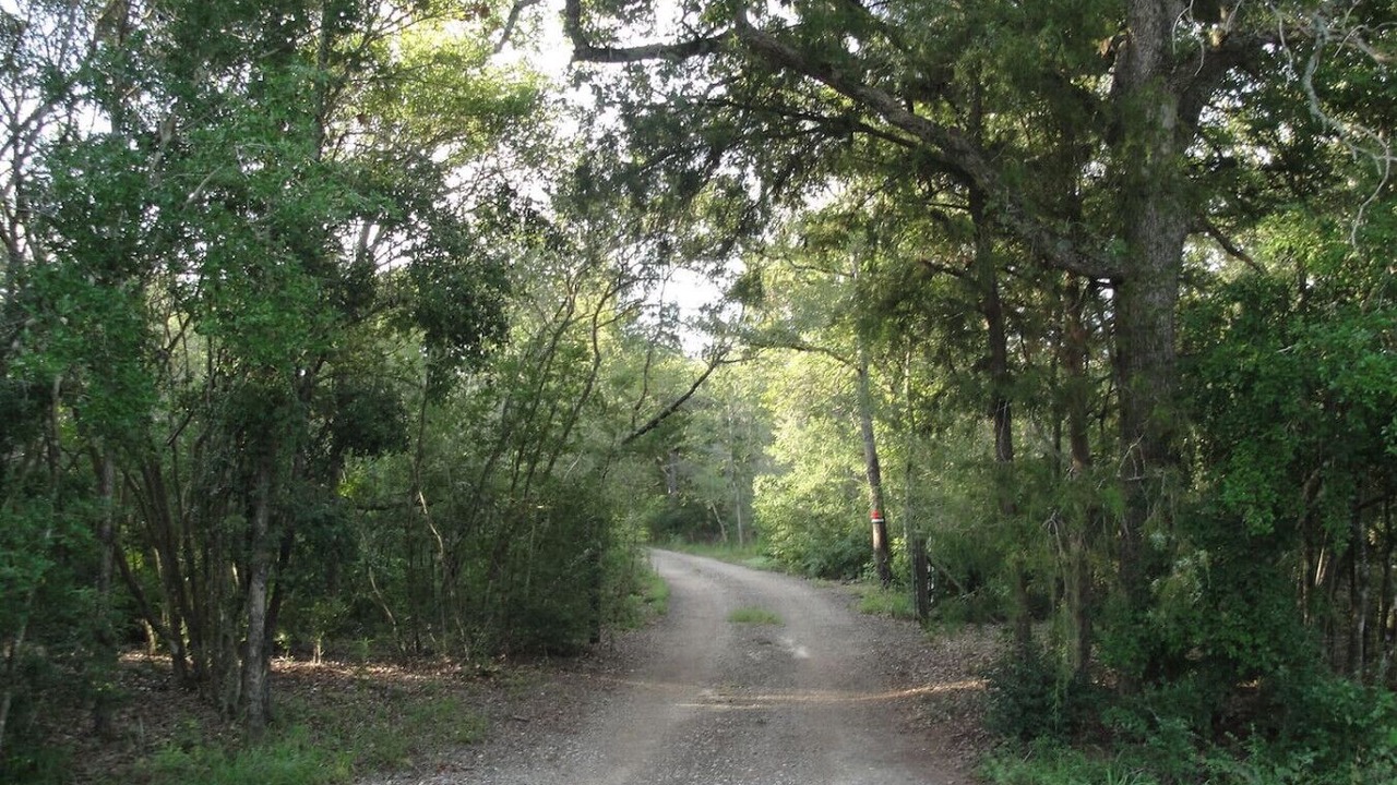Photo of Others in Valley Ridge