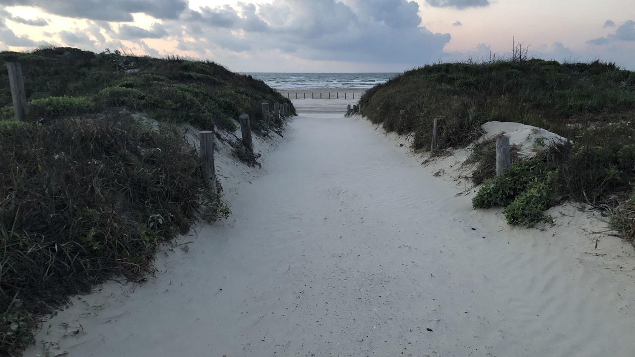 Photo of Others in Port Aransas