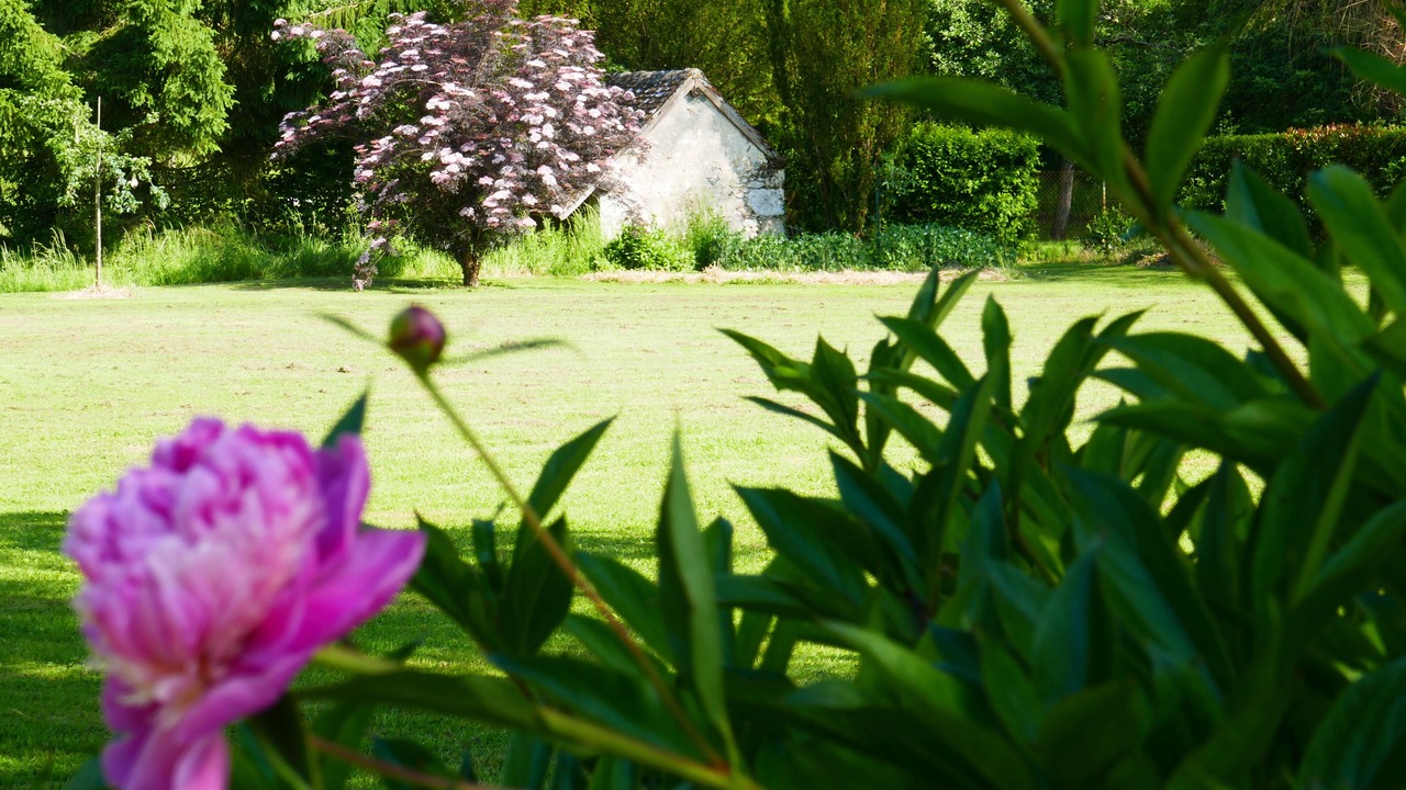 Photo of Outdoor in Adon