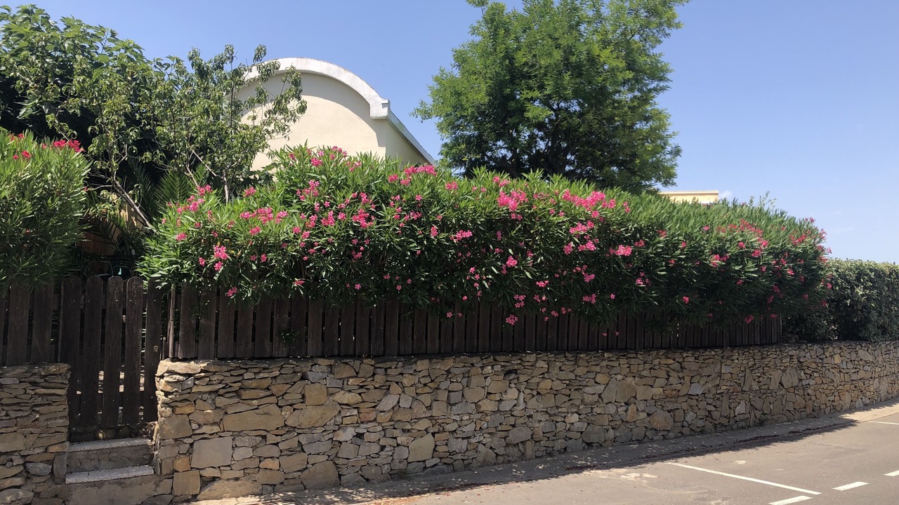 Photo of Outdoor in Gruissan