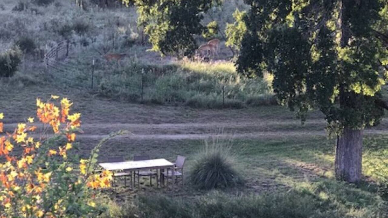 Photo of Outdoor in Fredericksburg