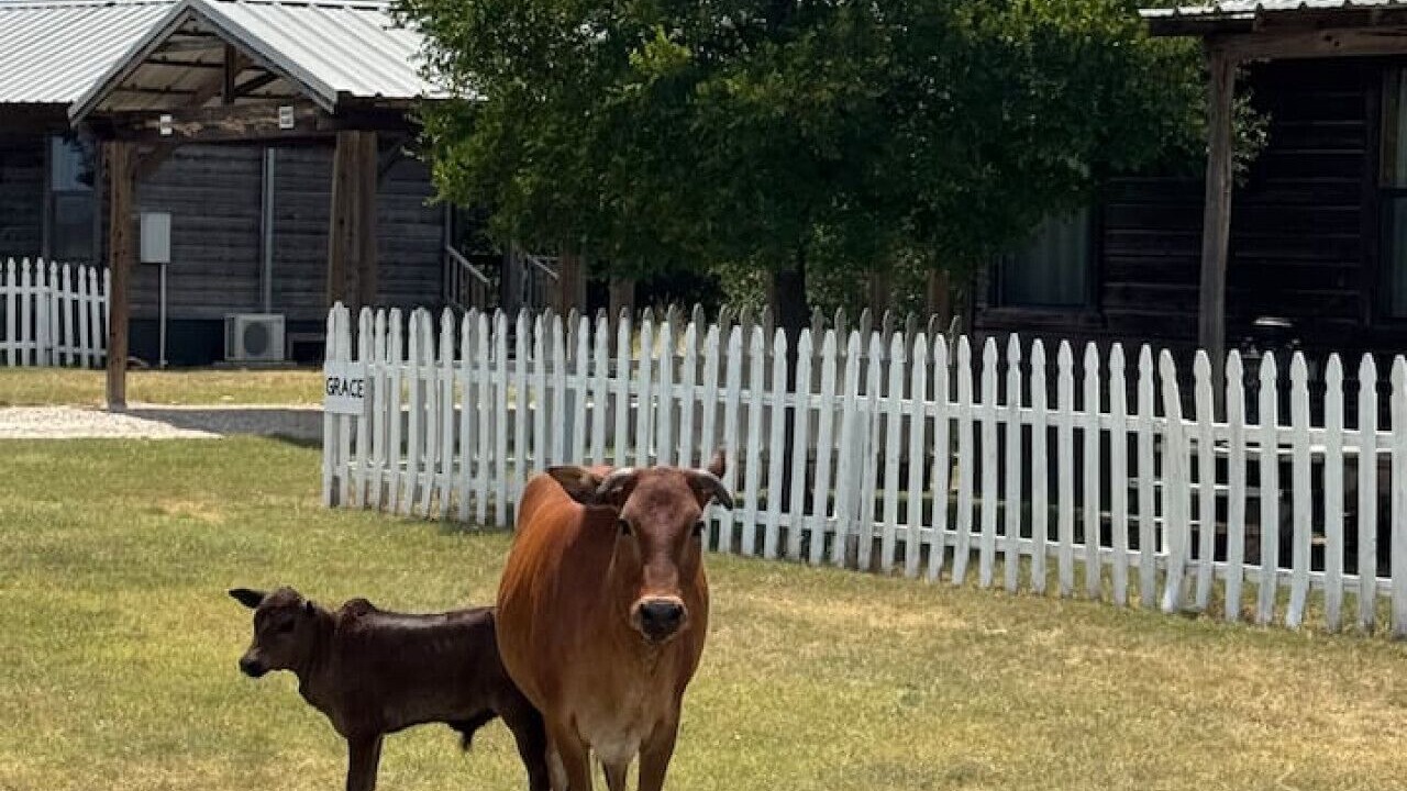 Photo of Outdoor in Fredericksburg