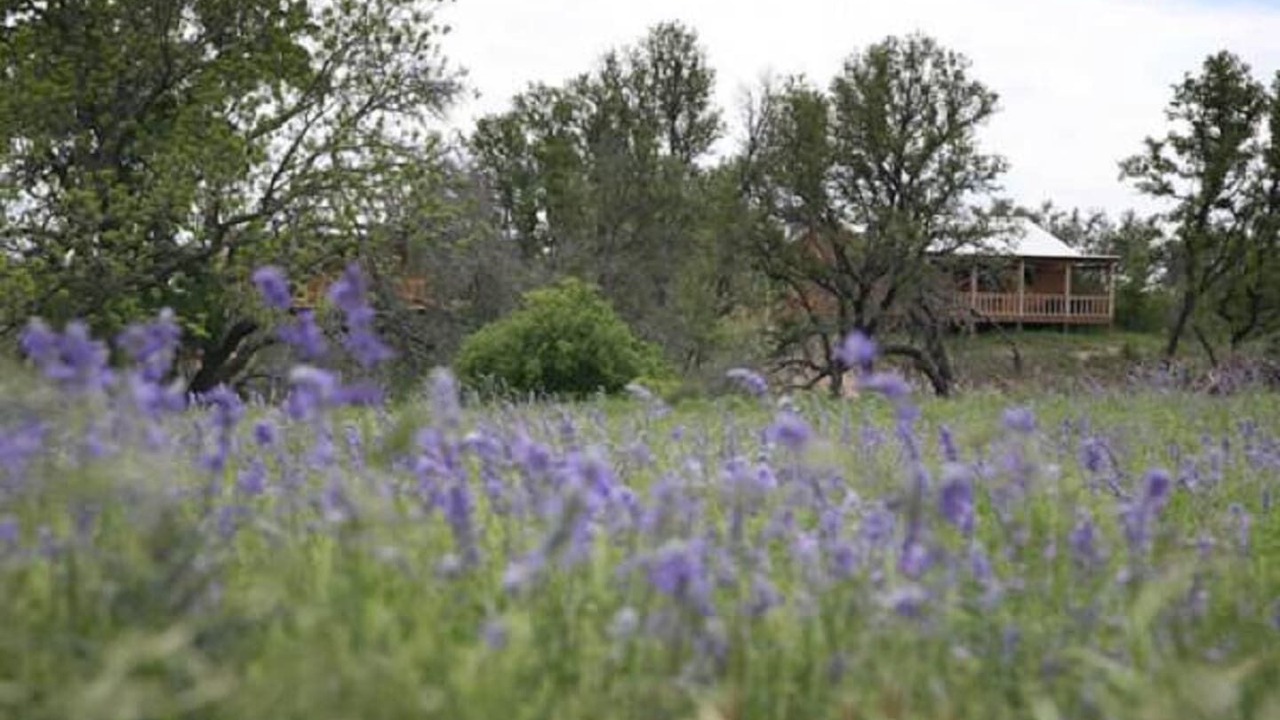 Photo of Outdoor in Fredericksburg