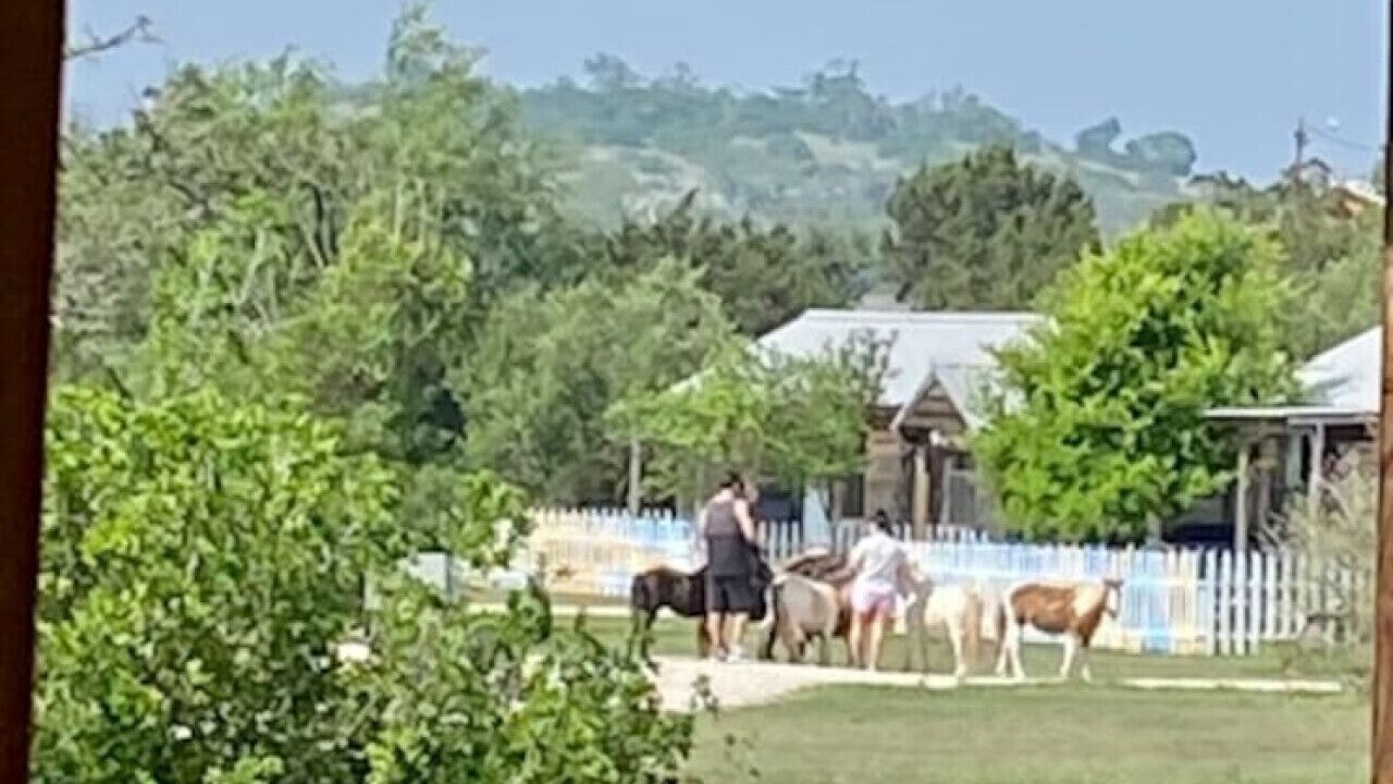 Photo of Others in Fredericksburg