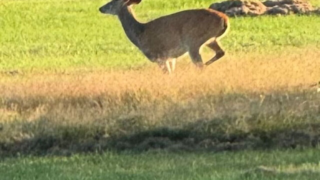 Photo of Others in Fredericksburg